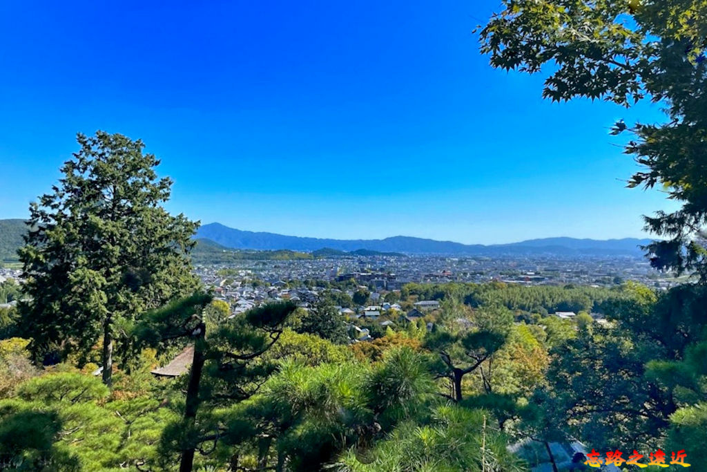 pic pimg tw look2up 1674974675 1481090724 g jpg