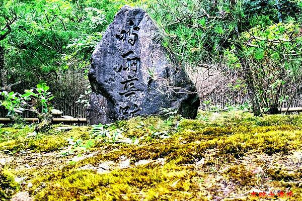 pic pimg tw look2up 1674974675 2097092463 g n jpg