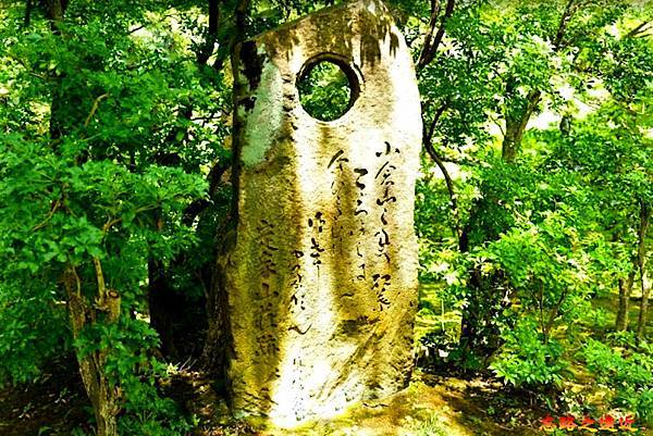 pic pimg tw look2up 1674974680 4197527313 g n jpg