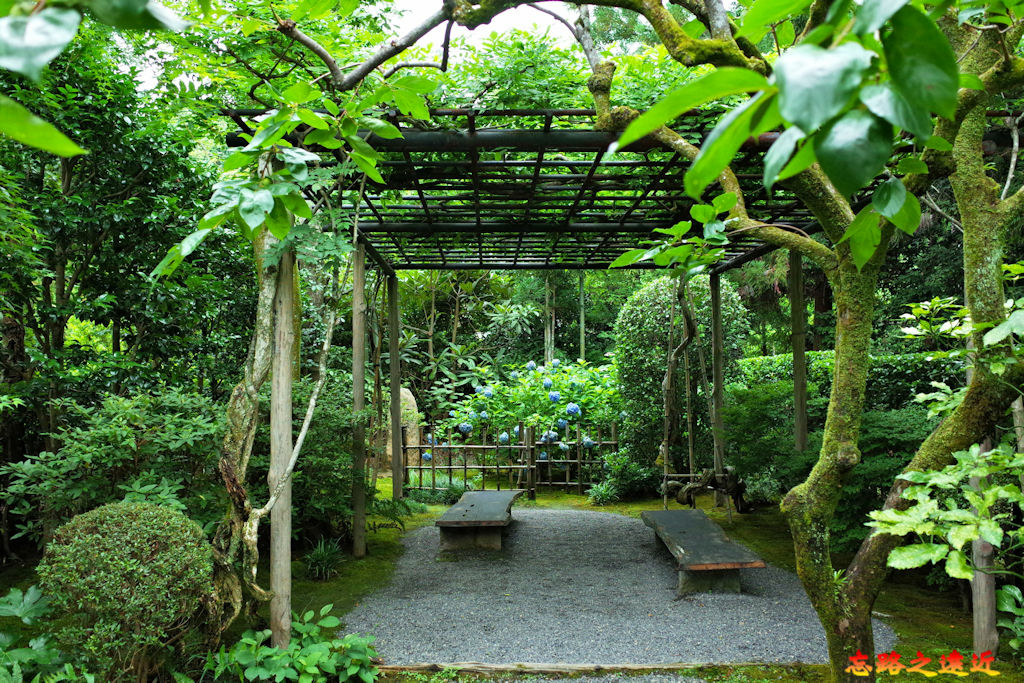 pic pimg tw look2up 1676864550 2008282865 g jpg