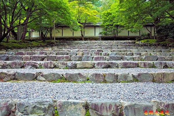 pic pimg tw look2up 1678082714 2218826659 g n jpg