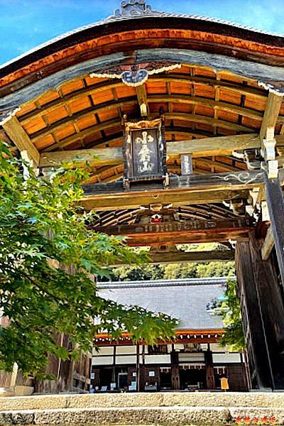 pic pimg tw look2up 1678082718 2629753184 g n jpg