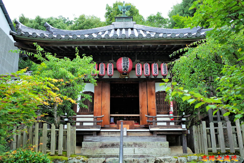 pic pimg tw look2up 1678082728 3900508342 g jpg