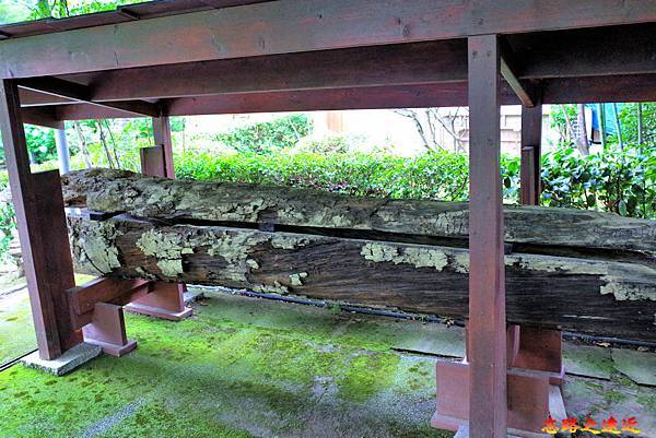 pic pimg tw look2up 1678082738 2866950435 g n jpg