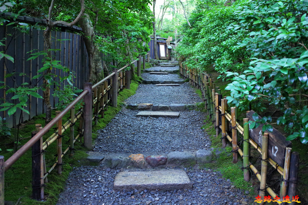 pic pimg tw look2up 1678852375 1862639227 g jpg