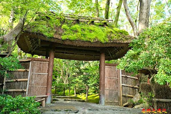 pic pimg tw look2up 1678852375 3209473328 g n jpg