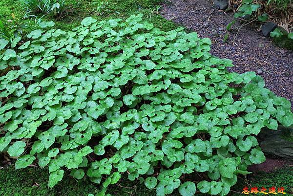 pic pimg tw look2up 1678852381 714014515 g n jpg