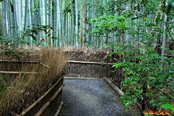 pic pimg tw look2up 1678852382 442299043 g n jpg