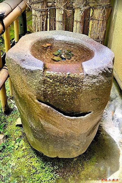 pic pimg tw look2up 1678852385 3370535356 g n jpg