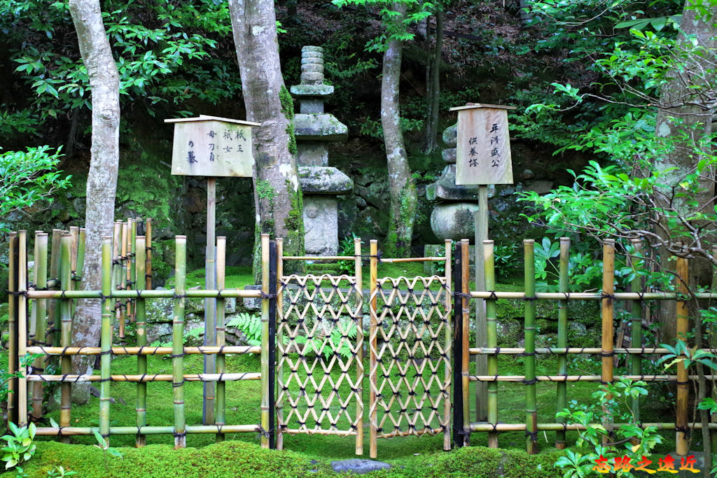 pic pimg tw look2up 1678852387 3899713857 g jpg