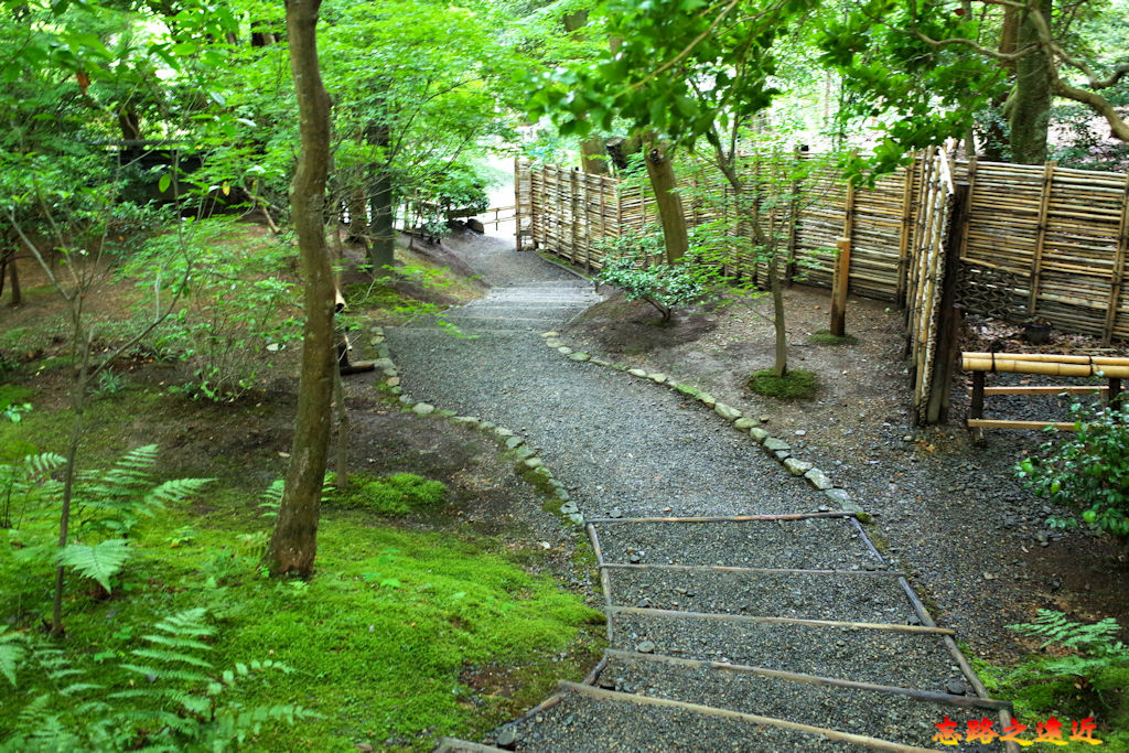 pic pimg tw look2up 1678852387 965302407 g jpg