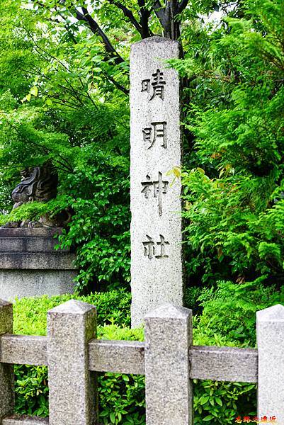 pic pimg tw look2up 1681019587 2593568518 g n jpg