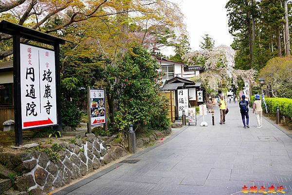 pic pimg tw look2up 1682569419 3000559203 g n jpg