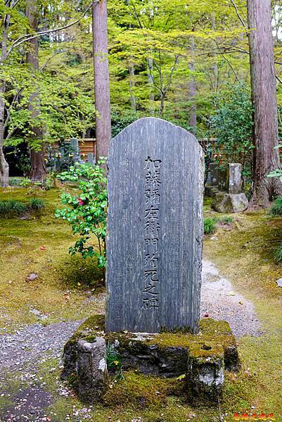 【宮城.松島】「圓通院」內賞日本百年庭園、體驗仙台伊達家族文化 (含:交通、境內圖) 24 pic pimg tw look2up 1682569451 2481266830 g n jpg