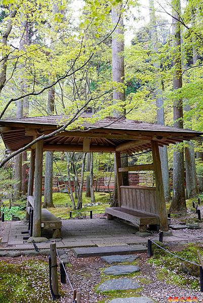 【宮城.松島】「圓通院」內賞日本百年庭園、體驗仙台伊達家族文化 (含:交通、境內圖) 26 pic pimg tw look2up 1682569456 3605272622 g n jpg