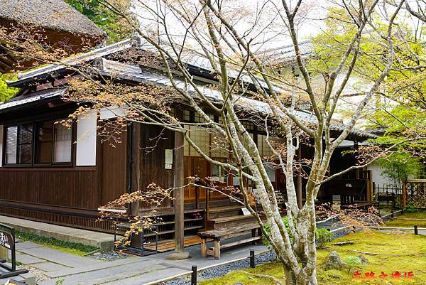 【宮城.松島】「圓通院」內賞日本百年庭園、體驗仙台伊達家族文化 (含:交通、境內圖) 32 pic pimg tw look2up 1682569465 614623185 g n jpg