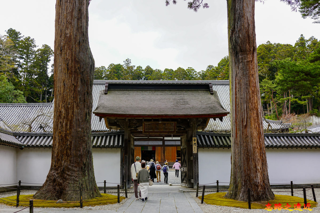 pic pimg tw look2up 1683182539 1373021220 g l jpg