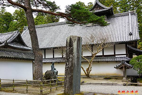 pic pimg tw look2up 1683182547 1973172358 g n jpg