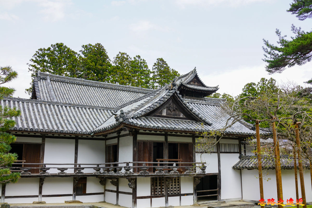 pic pimg tw look2up 1683182553 764289540 g l jpg