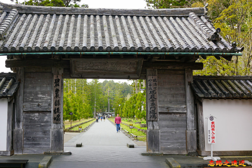 pic pimg tw look2up 1683182578 1825866443 g l jpg