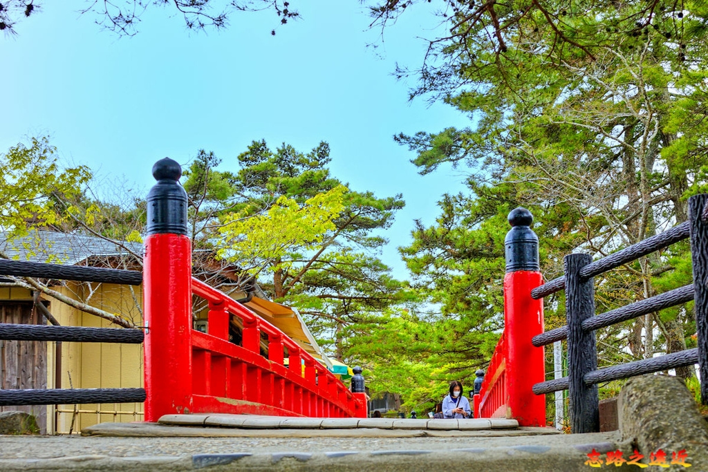 pic pimg tw look2up 1683698502 3184820481 g l jpg