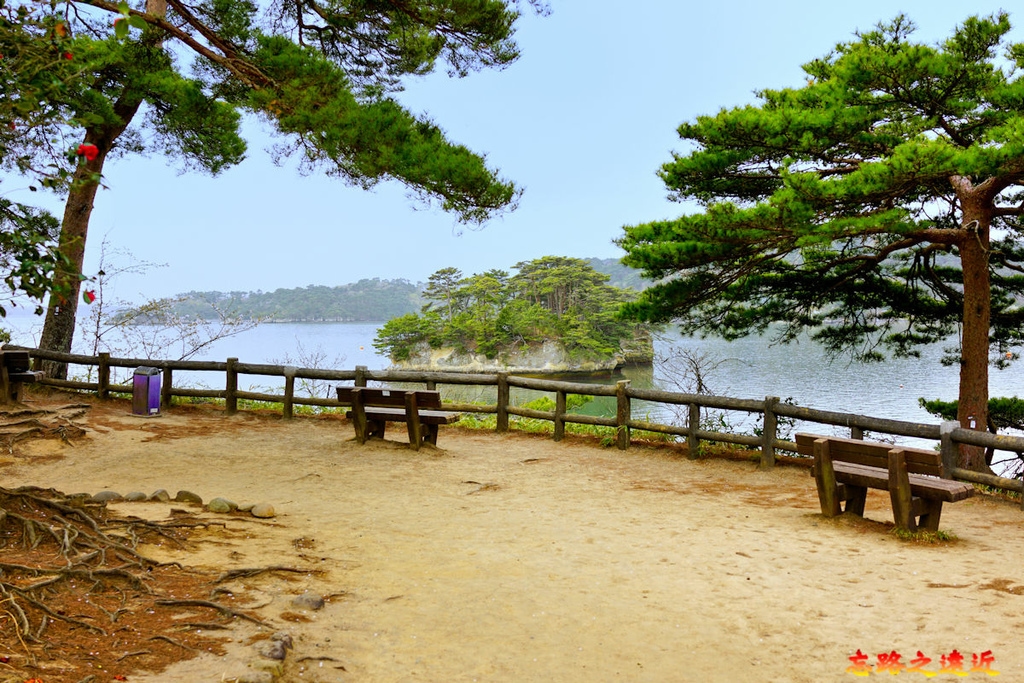 pic pimg tw look2up 1684121629 976640578 g l jpg