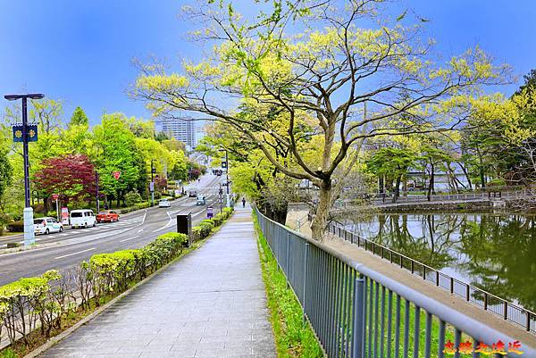 【宮城.仙台】登「仙台城跡公園」,發現動人仙台魅力! (含:完整交通工具、路線介紹) 9 pic pimg tw look2up 1685594045 974274797 g n jpg