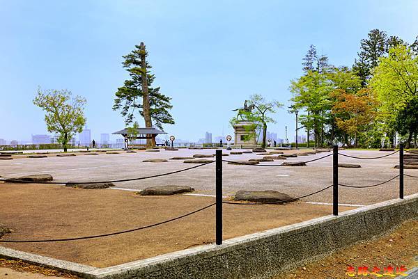 pic pimg tw look2up 1685594067 3371799085 g n jpg