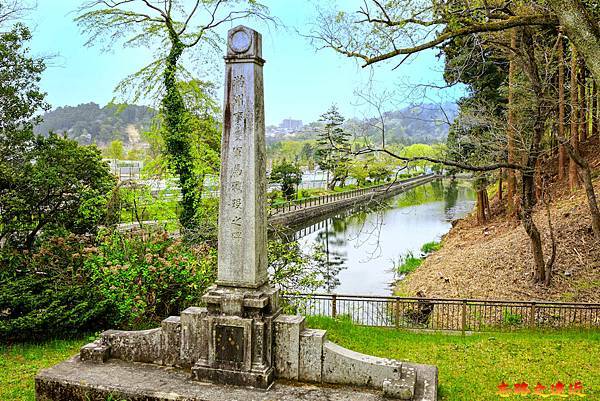 pic pimg tw look2up 1685594081 2276717920 g n jpg