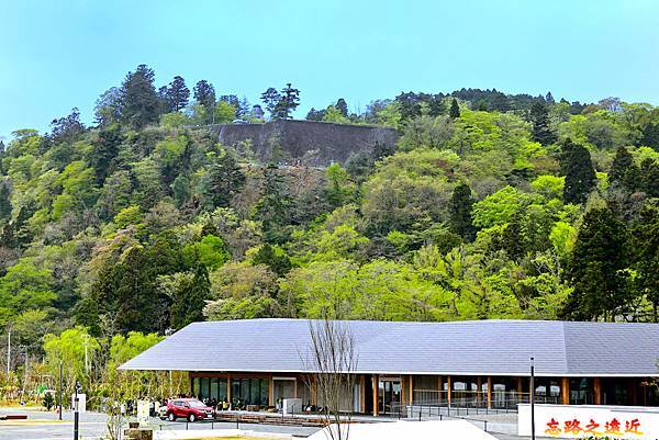 pic pimg tw look2up 1685594083 2467497544 g n jpg