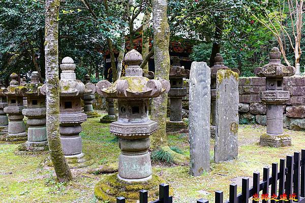 pic pimg tw look2up 1686040778 2615417023 g n jpg