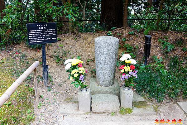 pic pimg tw look2up 1686040779 2693454855 g n jpg