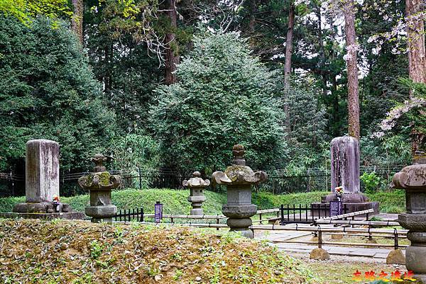 pic pimg tw look2up 1686040779 40562308 g n jpg