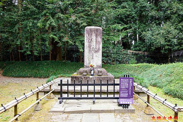 pic pimg tw look2up 1686040780 3046402059 g n jpg