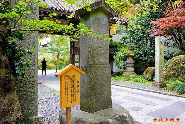 pic pimg tw look2up 1686040787 3168485761 g n jpg