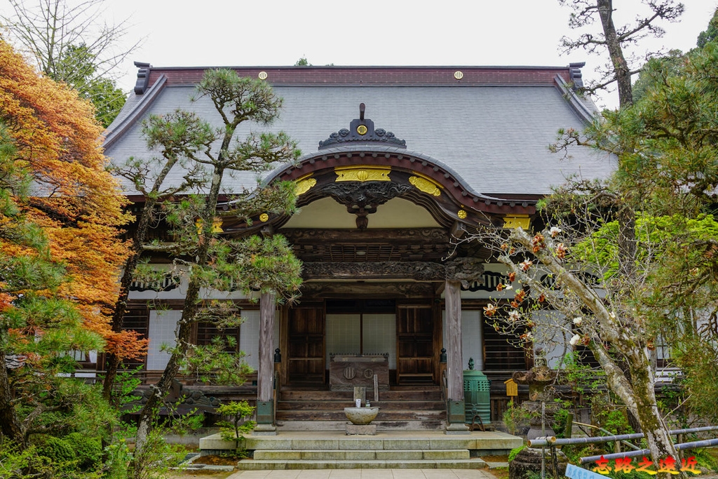 pic pimg tw look2up 1686040788 617876224 g l jpg