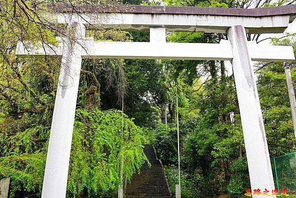 pic pimg tw look2up 1686817171 3580179262 g n jpg