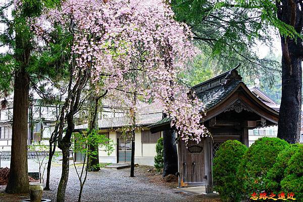 pic pimg tw look2up 1688008747 2089516638 g n jpg