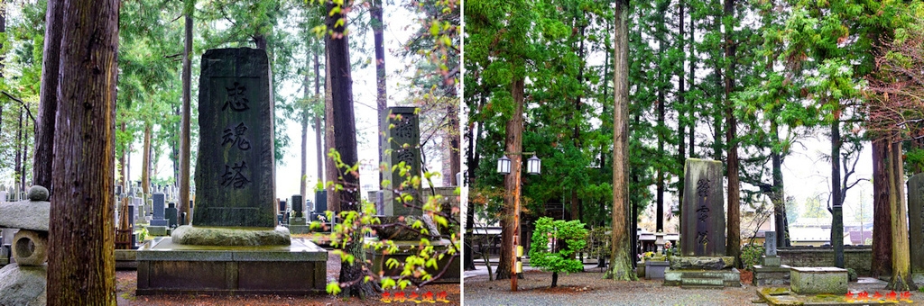 pic pimg tw look2up 1688008750 4109598602 g l jpg