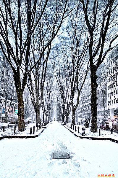 pic pimg tw look2up 1688717836 3197004528 g n jpg