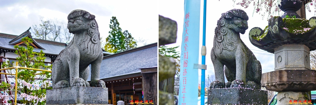 pic pimg tw look2up 1689825169 1244421242 g l jpg