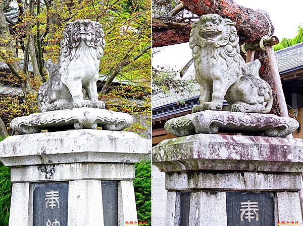 pic pimg tw look2up 1690880285 594062144 g n jpg