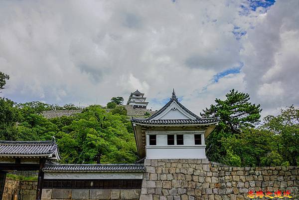 pic pimg tw look2up 1699415787 940534134 g n jpg