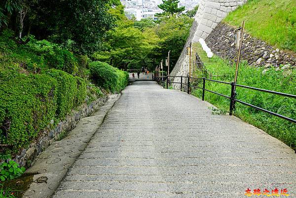 pic pimg tw look2up 1699415792 3620416627 g n jpg