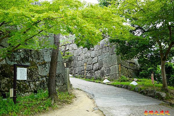 pic pimg tw look2up 1699415797 2666736434 g n jpg