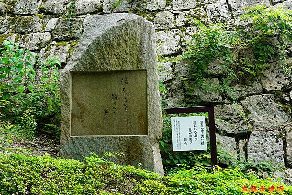 pic pimg tw look2up 1699415797 2796189105 g n jpg