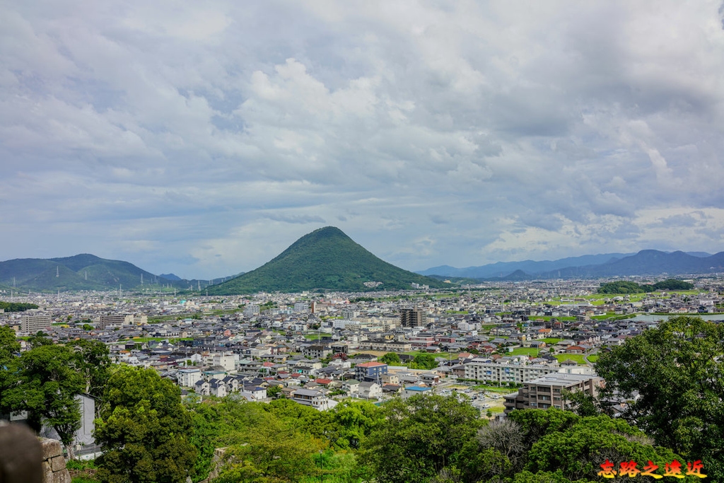 pic pimg tw look2up 1699415797 2874670968 g l jpg