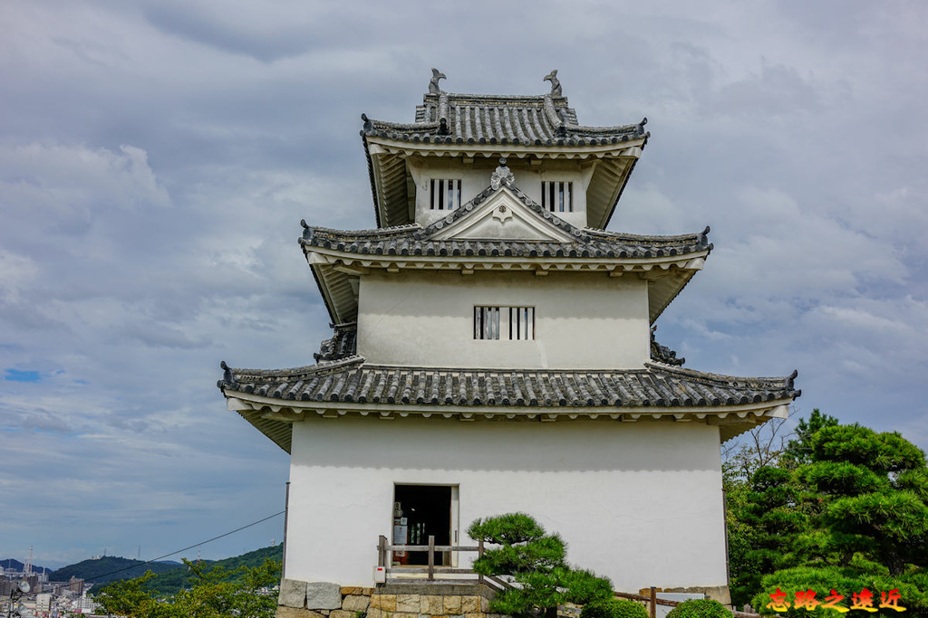 pic pimg tw look2up 1699415802 28337493 g l jpg