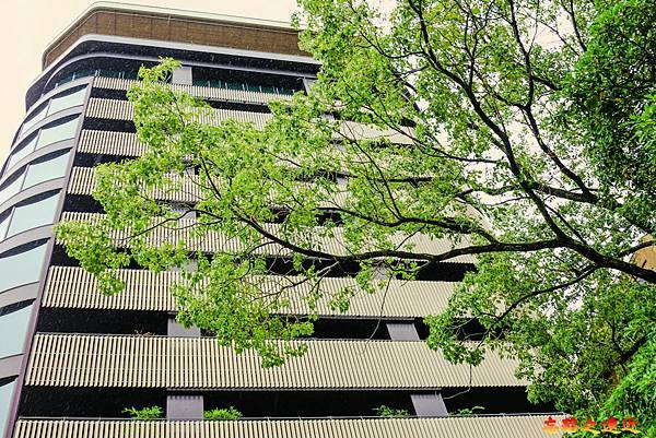 【山陽.廣島】登「紙鶴塔」上摺隻紙鶴吧?讓紙鶴慢慢飄下,祈祝一切平安 3 pic pimg tw look2up 1703750889 1618232394 g n jpg