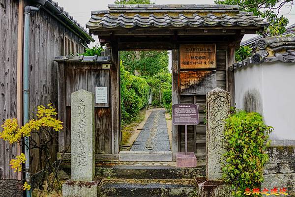 pic pimg tw look2up 1704688669 3777886999 g n jpg